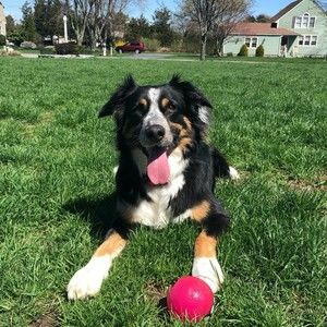 Meet your Posher, Tessa